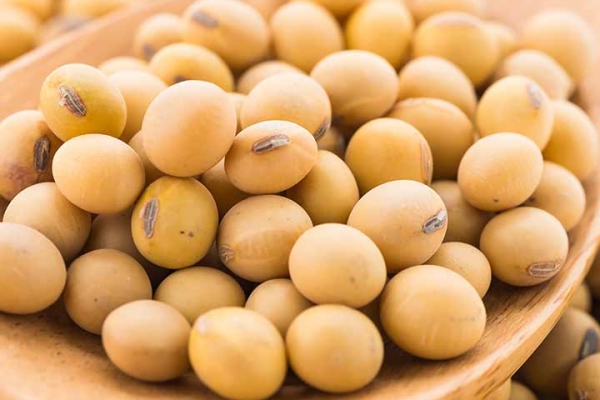 About Soyabeans